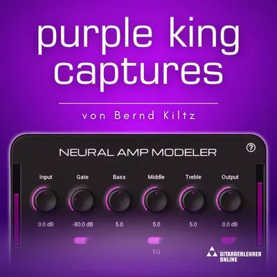 NAM High-Gain Captures:|Purple King Collection